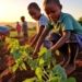 The Global Food System Is Broken. Here’s How to Fix It.