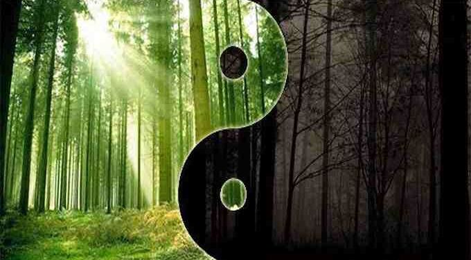 Mental Alchemy: Using the Hermetic Laws of Polarity & Rhythm to Transform Your Life