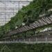 Solar Panel Farm Yields 17,000 Tons Of Food Annually In The Worst Climates