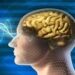 A Case for Mind-Mastery | Bio-Electric Fields and Evidence for Morphogenetic Field (Mind) Governed Biology and Reality — Bioelectricity, Morphology, & Electroceuticals