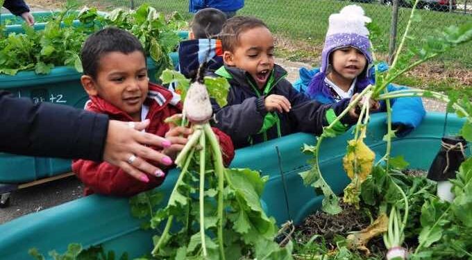 Study Shows School Gardens Help To Prevent Nutritional Deficiencies In Children