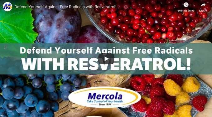 Resveratrol Causes Rogue Cells to Self-Destruct