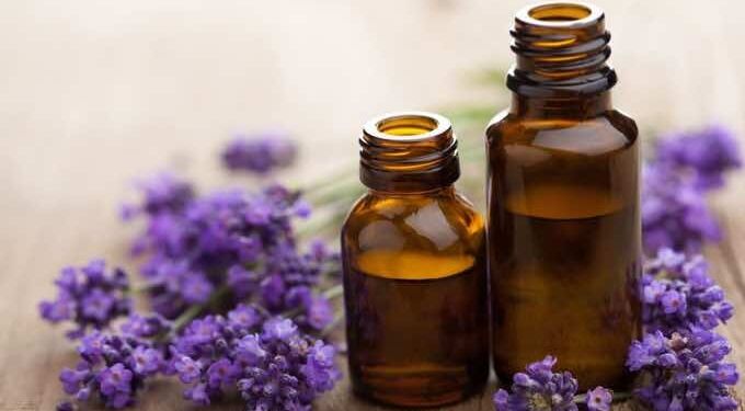 New Study: Smelling Lavender Really Can Relax You