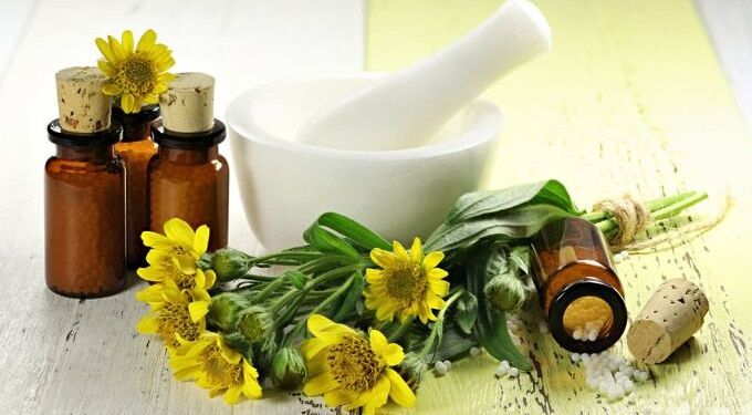 Arnica: This Powerful Herb Promotes Various Kinds of Healing