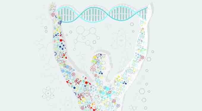 6 Bodily Tissues That can be Regenerated Through Nutrition