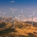 New Zealand Wins Global Praise for ‘Historic’ Law to Bring Net Carbon Emissions to Zero by 2050