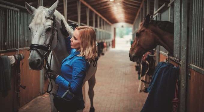 Can Horses Benefit From CBD?
