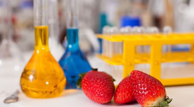 Bill Gates Secretly Dictates Global Food Policy Too