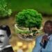 21st Century Nikola Tesla: Maxwell Chikumbutso