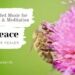 Light-Encoded Music for Self-Healing & Meditation | Xi EarthStar