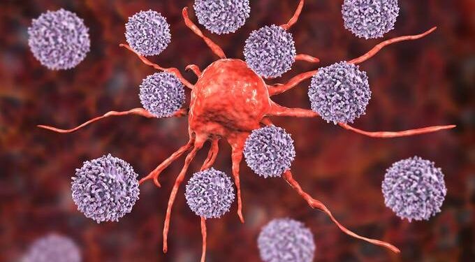 New Research Optimizes Body’s Own Immune System to Fight Cancer