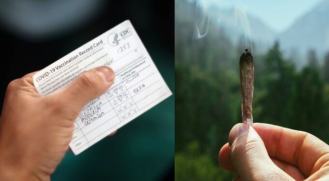 Joints for Jabs Bribery: Washington State to Give Away Free Cannabis Joints With COVID-19 Jabs