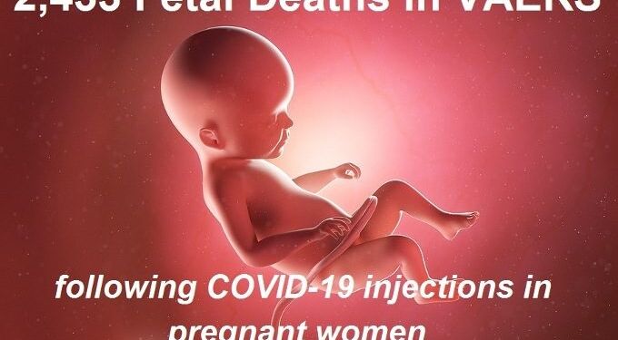 2,433 Dead Babies in VAERS as Another Study Shows mRNA Shots Not Safe for Pregnant Women