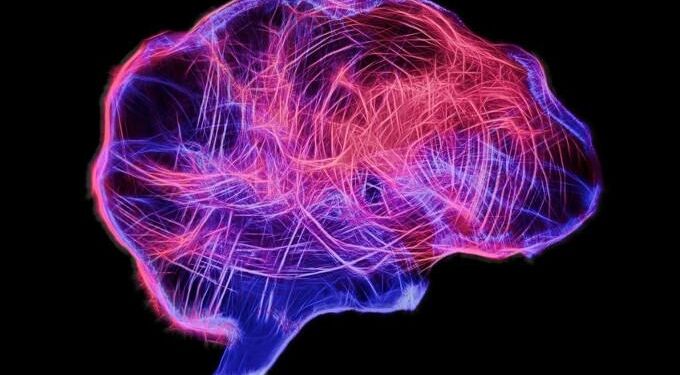 New Theory of Consciousness in Humans, Animals and Artificial Intelligence
