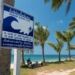 What Causes a Tsunami? An Ocean Scientist Explains the Physics of These Destructive Waves