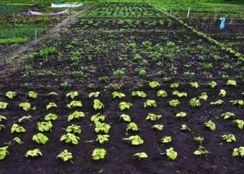 We Need to Radically Re-Imagine Our Food System. Here’s How.