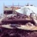 Not Taking A Position On Gaza IS Taking A Position On Gaza | Caitlin Johnstone