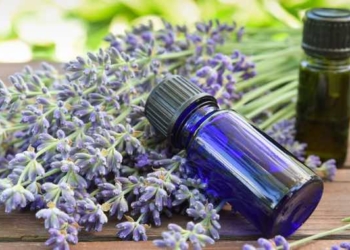 Rosemary and Lavender Essential Oils Proven to Boost Mood and Memory