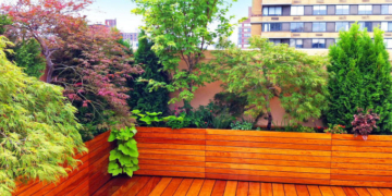 How To Create a Beautiful, Healing Garden