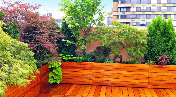 How To Create a Beautiful, Healing Garden