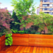 How To Create a Beautiful, Healing Garden