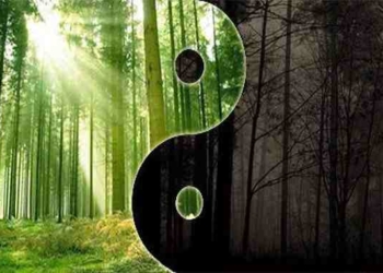 Mental Alchemy: Using the Hermetic Laws of Polarity & Rhythm to Transform Your Life