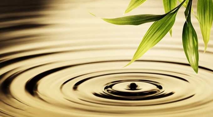 The WOW of NOW: Exploring the Divinity & Infinity of This Moment
