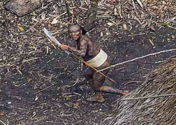 Incredible, Surprising Photos of Tribe Living in Jungle in Total Isolation
