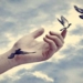 A Paradox With Purpose: To Hang On, We Must Let Go