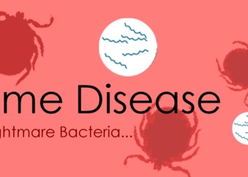 Lyme Disease: What They’re Not Telling You
