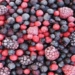 Big Surprise: 5 Instances When Frozen Food Is Actually BETTER Than Fresh