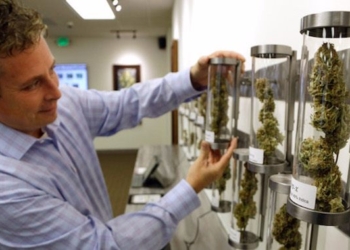 Court Rules: Insurance Company Must Cover Medical Cannabis Treatment