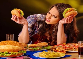 Study: Eating Junk Food Literally Shrinks Your Brain
