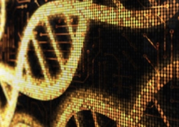 Are You a Human Being or Just a Programmable Life Form?
