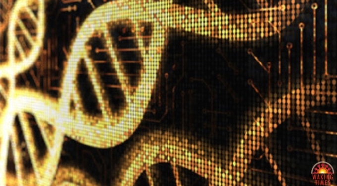 Are You a Human Being or Just a Programmable Life Form?