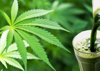 5 Benefits of Juicing Cannabis You Probably Don’t Know About