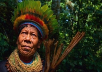 Are Spirit Guides Real? The Forms They Take and How They Can Help You Thrive