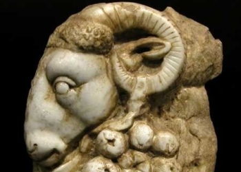 Horoscopes Thursday 20th April 2017