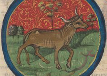 Horoscopes Wednesday 26th April 2017