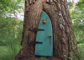 This Sweet Short Film Reminds You of The Power of Compassion and Magic