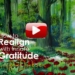 How to Realign with Innate Gratitude