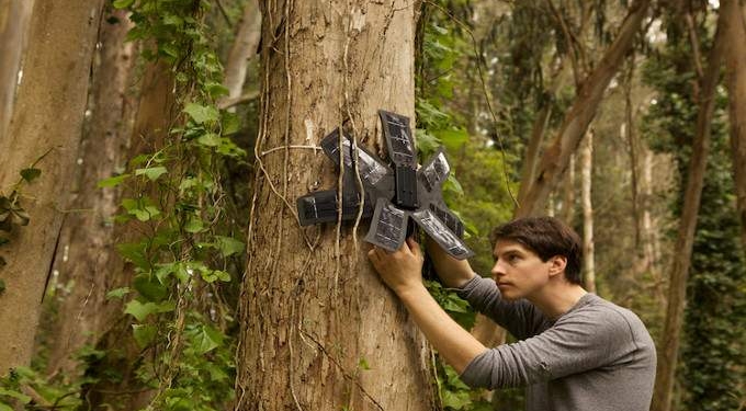 Activists Are Deploying Recycled Solar Powered Cell Phones To Save Rainforests