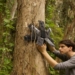 Activists Are Deploying Recycled Solar Powered Cell Phones To Save Rainforests
