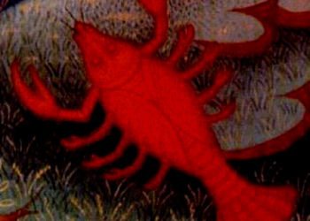 Horoscopes Wednesday 21st June 2017