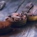 Cocoa and Chocolate Are Not Just Treats – They Improve Your Cognitive Performance