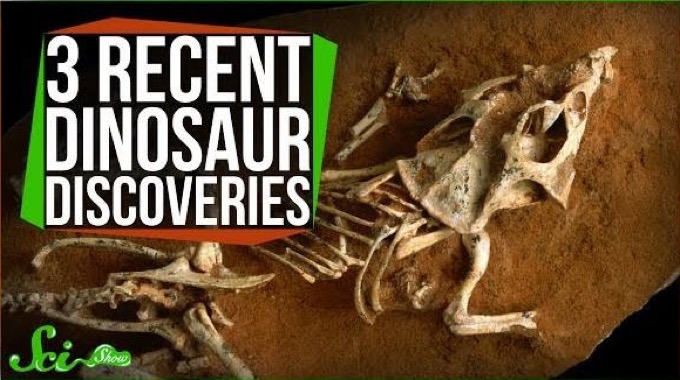 3 Mind-Blowing Recent Dinosaur Discoveries : Conscious Life News