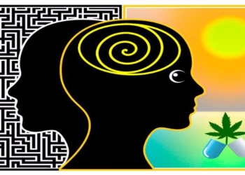 Harvard Study: Smoking Cannabis Actually Improves Brain Function