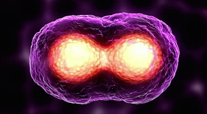 The Science Of Curing Cancer and Other Diseases With Sound and Resonant Frequencies