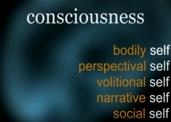 You’re ‘Hallucinating’ Right Now – Watch This Ted Talk on How Your Brain Creates Your Reality