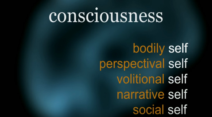 You’re ‘Hallucinating’ Right Now – Watch This Ted Talk on How Your Brain Creates Your Reality